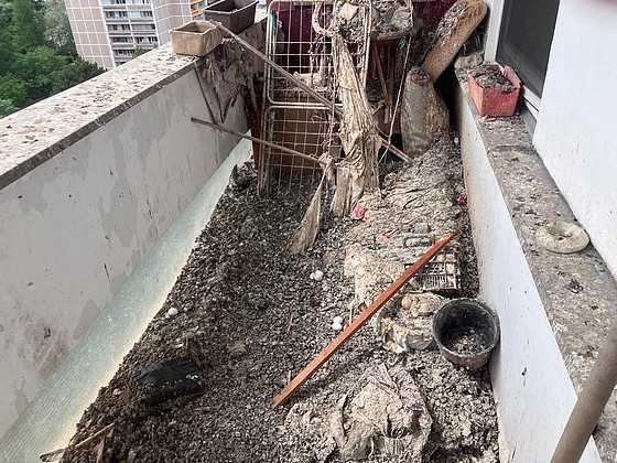 Hulubí trus - čištění