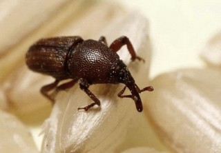 Rychlé a levné vyčištění skladu?