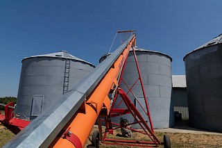 Škůdci ve skladu? Plynování je řešením!