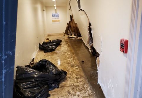 Skladištní škůdci - rizika a prevence