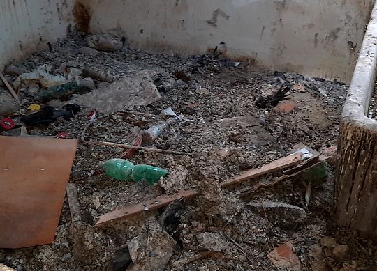 Hulubí trus - čištění