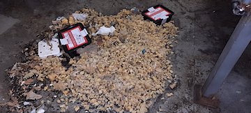 Hubení myší - Čelákovice