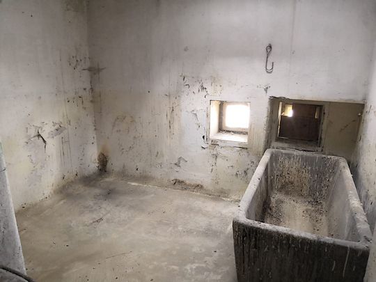 Likvidace holubího trusu v Chrastavou