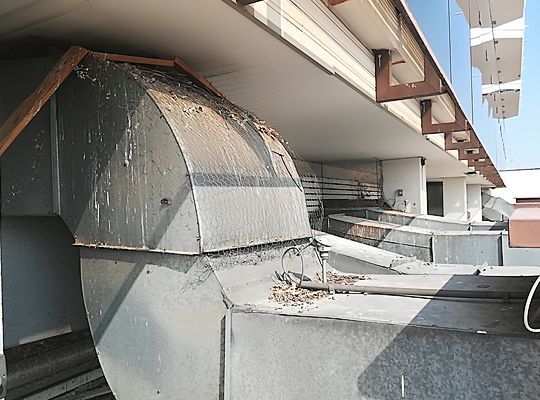 Odstranění ptačího trusu