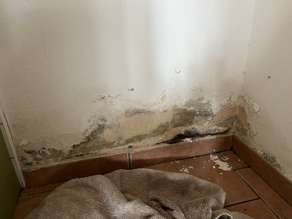 Hubení švábů Pardubice