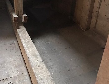 Likvidace holubího trusu