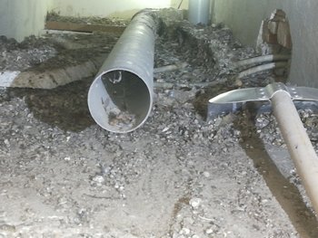 Vyklízení holubího trusu