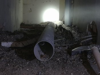 Odstranění holubího trusu