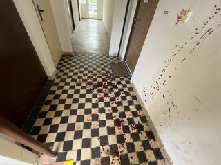 Čištění krve rychle a levně