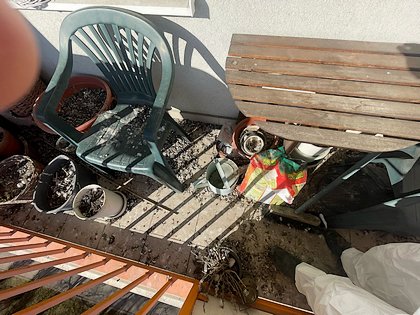 Likvidace holubího trusu - Brno