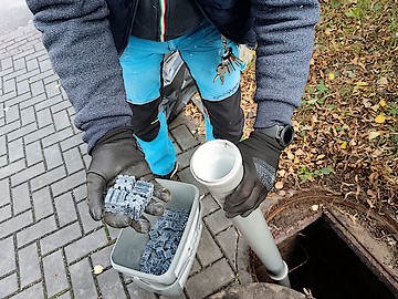 Deratizace v kanalizační síti - Plzeň