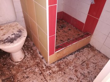 Hubení potkanů Praha 8