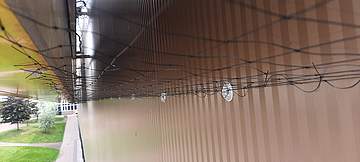 Hroty proti ptákům