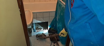 Hubení potkanů - Praha 4