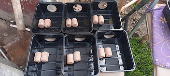 Hubení potkanů - Praha 9