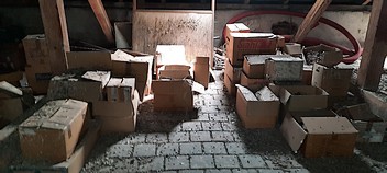 Likvidace holubího trusu