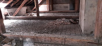 Likvidace holubího trusu