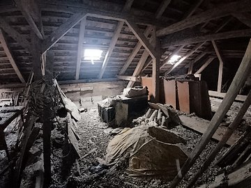 Likvidace holubího trusu na půdě