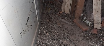 Likvidace holubího trusu