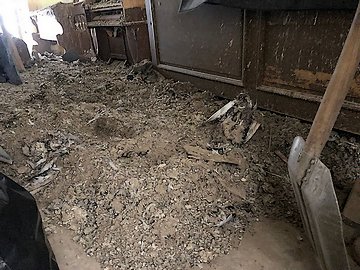 Likvidace holubího trusu