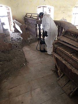 Likvidace holubího trusu