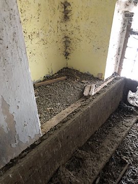 Likvidace holubího trusu