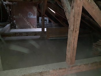 Likvidace holubího trusu