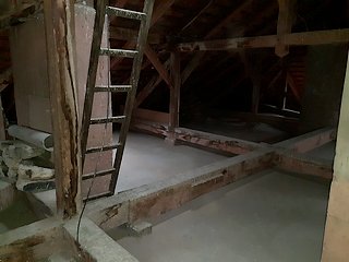 Likvidace holubího trusu