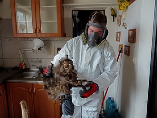 Odvoz uhynulého zvířete v Hradci Králové