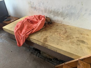 Likvidace švábů ve skladu