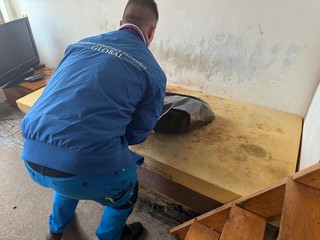 Likvidace švábů ve skladu