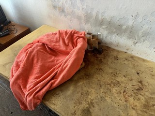 Likvidace švábů ve skladu