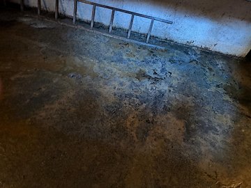 Vyčištění po zatopení